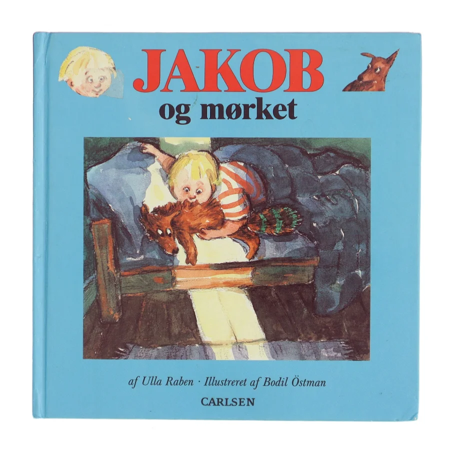 Jakob og mørket af Ulla Raben (Bog)
