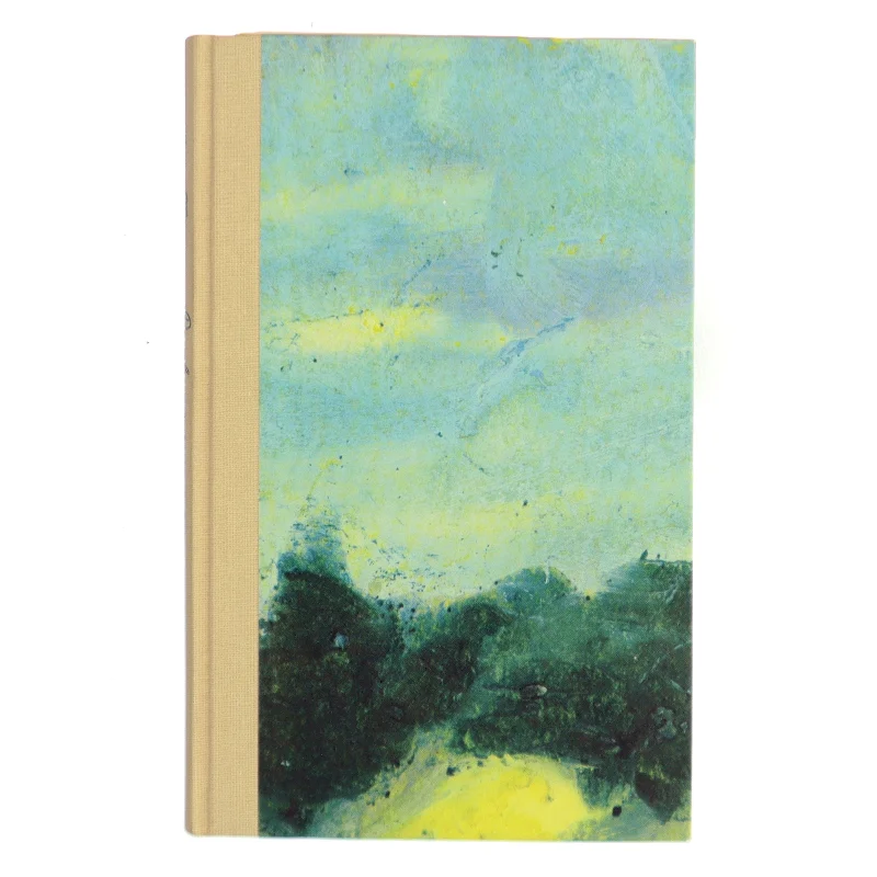 Den lange sommer af Kirsten Thorup (Bog)