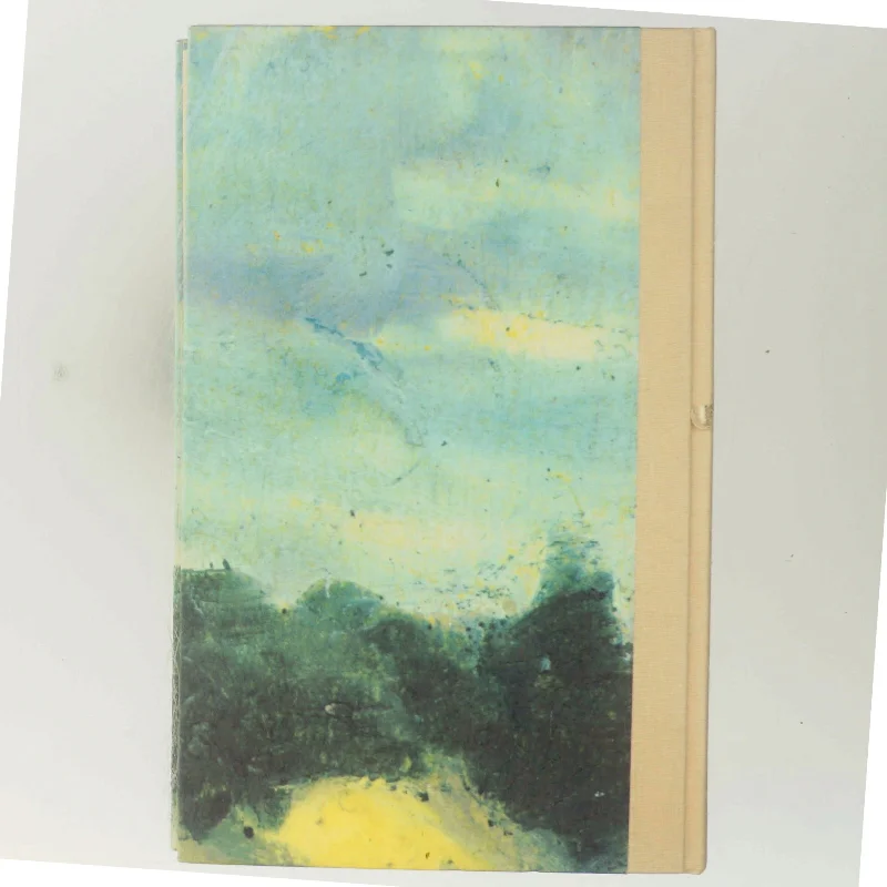 Den lange sommer af Kirsten Thorup (Bog)