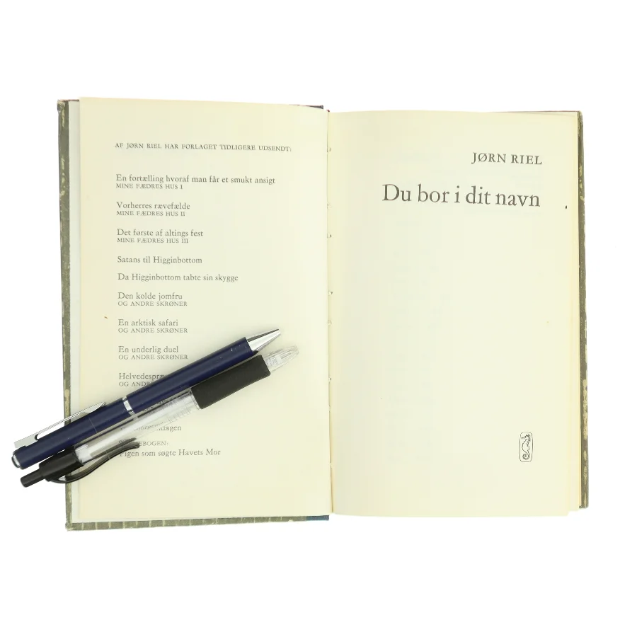 Du bor i dit navn af Jørn Riel (Bog)