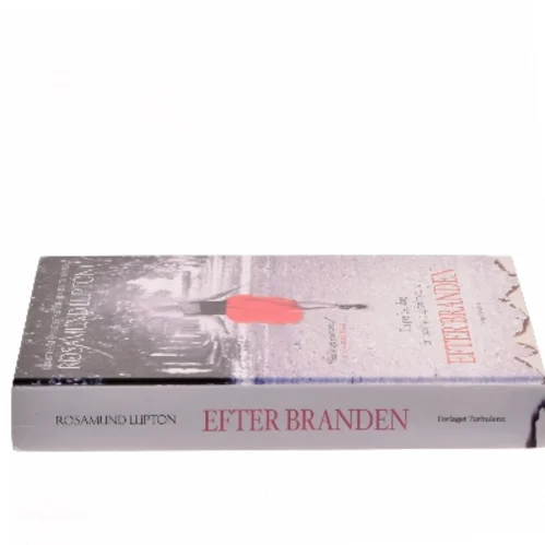 Efter branden af Rosamund Lupton (Bog)