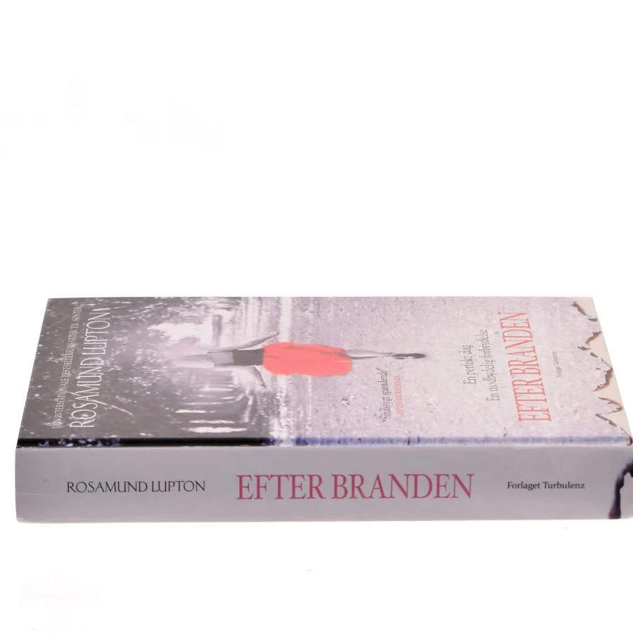 Efter branden af Rosamund Lupton (Bog)