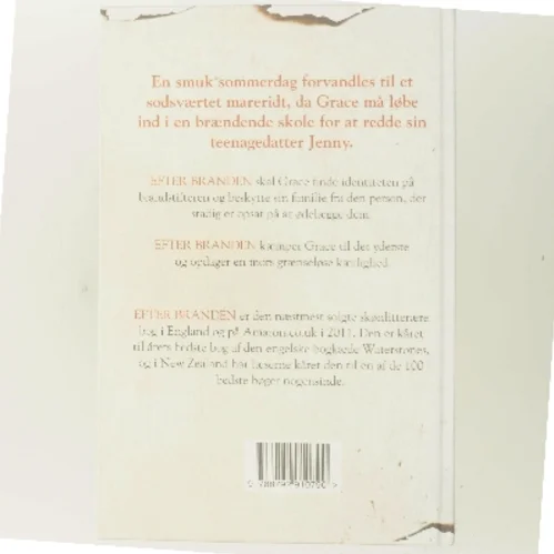 Efter branden af Rosamund Lupton (Bog)