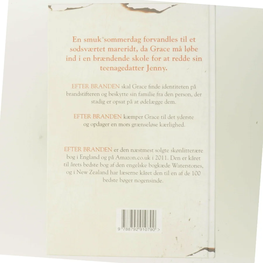 Efter branden af Rosamund Lupton (Bog)