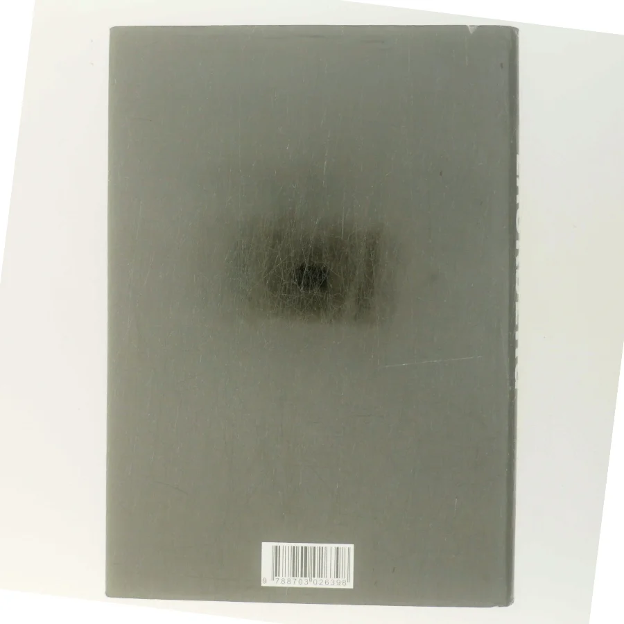 Stenhuggeren af Camilla Läckberg (Bog)