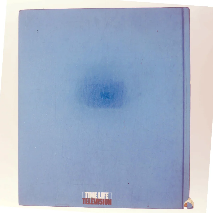 Dangerous Sea Creatures (Bog)