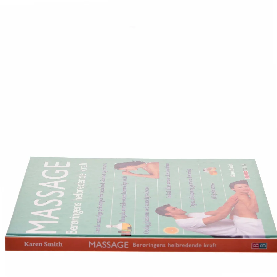 Massage : berøringens helbredende kraft af Karen Smith (Bog)