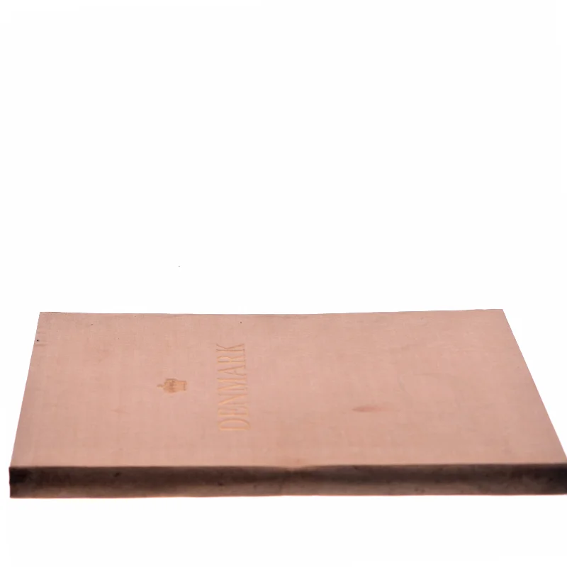 Denmark af Roger Nielsen (Bog)