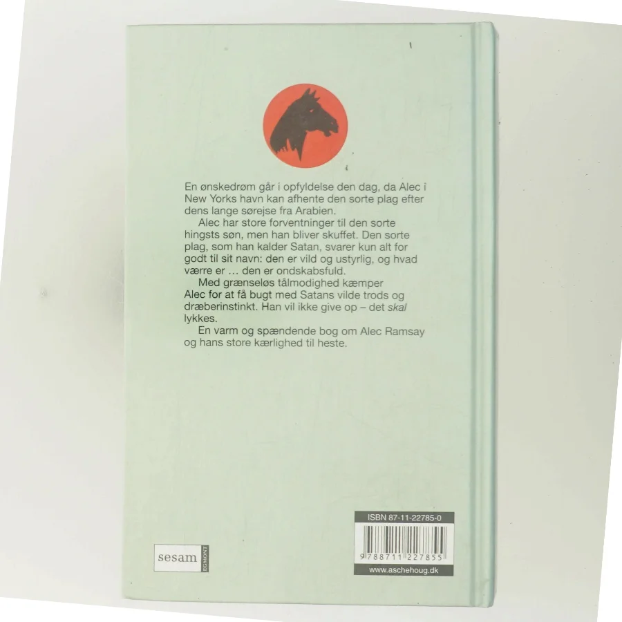 Den sorte hingsts søn af Walter Farley (Bog)