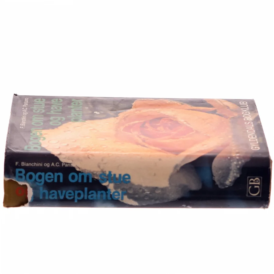 Bogen om stue og haveplanter af F. Bianchini (Bog)