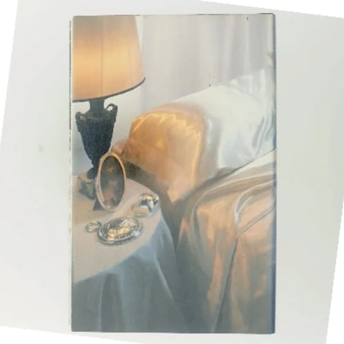 Silkehud af Shirley Conran (Bog)