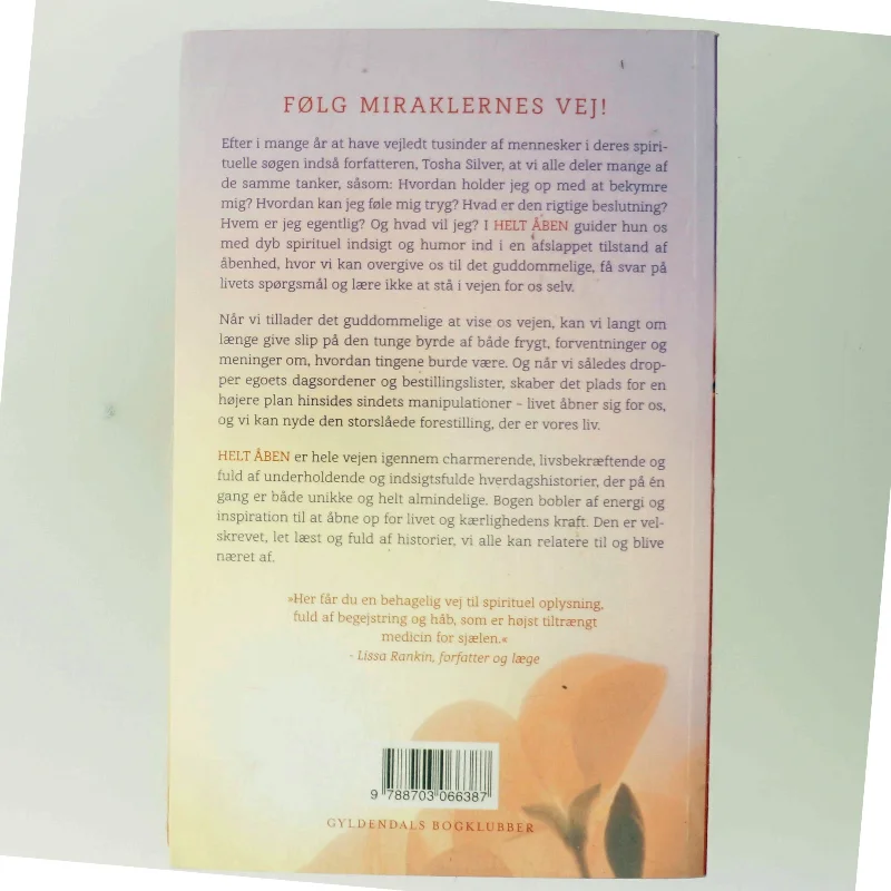 Helt åben : lad det guddommelige lede dig af Tosha Silver (Bog)
