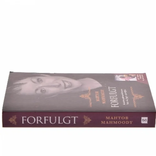 Forfulgt : en datters gribende historie om had, vold, frygt - og kærlighed af Mahtob Mahmoody (f. 1979) (Bog)