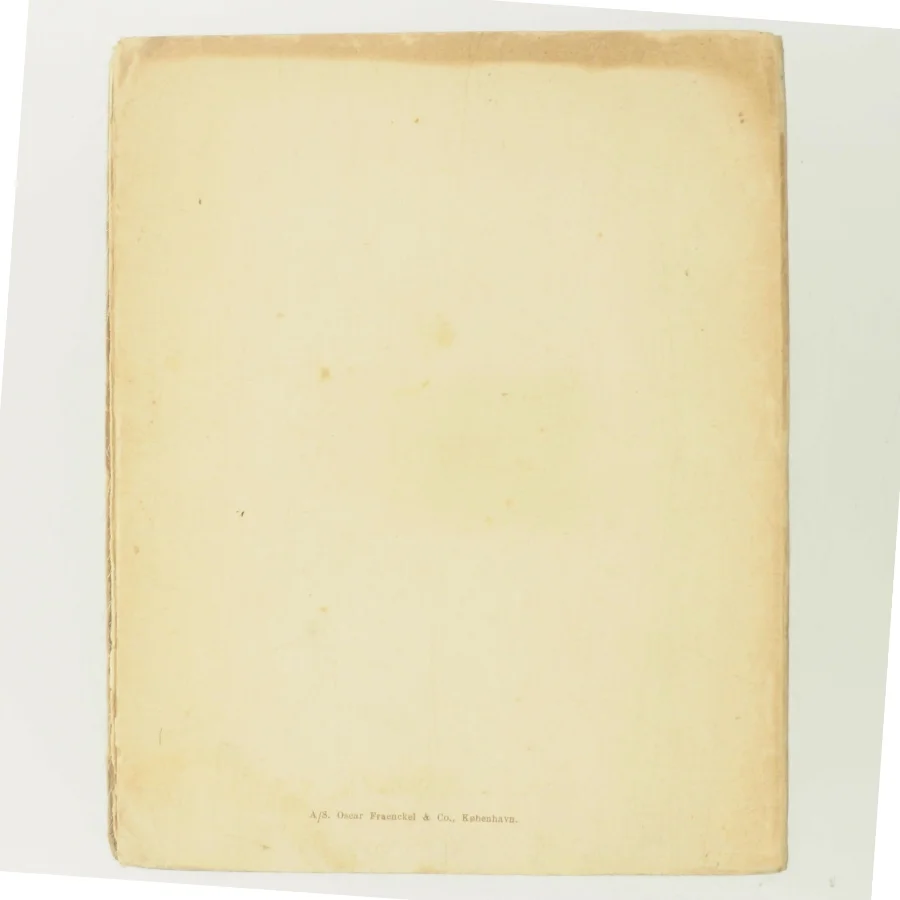 Jørgine af Johannes V. Jensen (Bog)