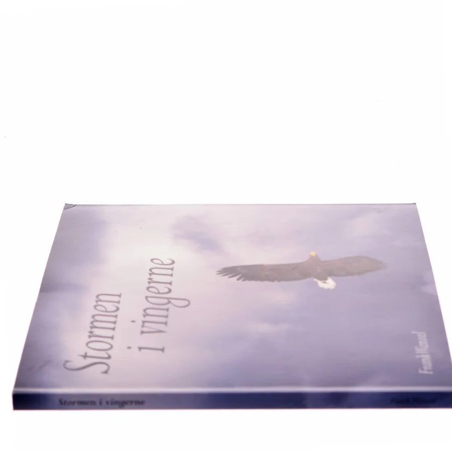 Stormen i vingerne af Frank Wenzel (Bog)