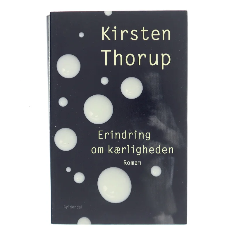Erindring om kærligheden : roman af Kirsten Thorup (Bog)