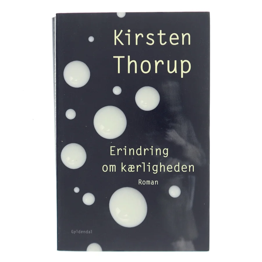 Erindring om kærligheden : roman af Kirsten Thorup (Bog)