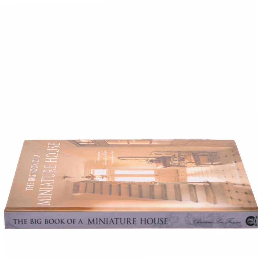 The big book of a miniature house : create and decorate a house room by room af Christine-Lea Frisoni (Bog)