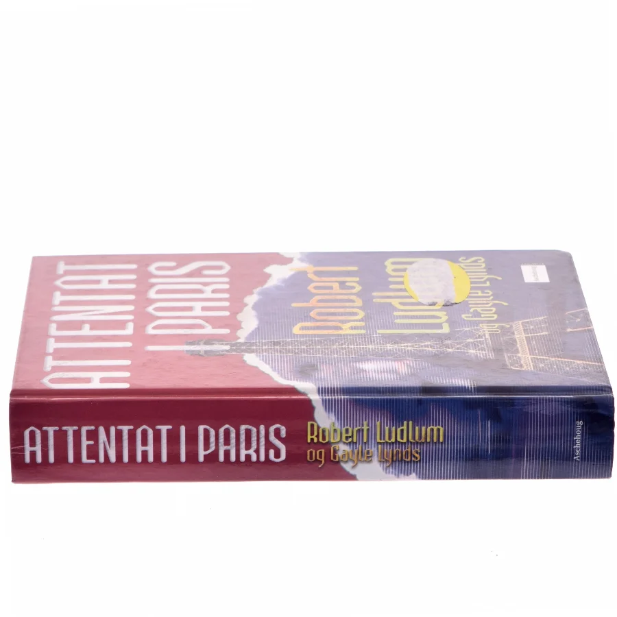 Attentat i Paris (Bog)