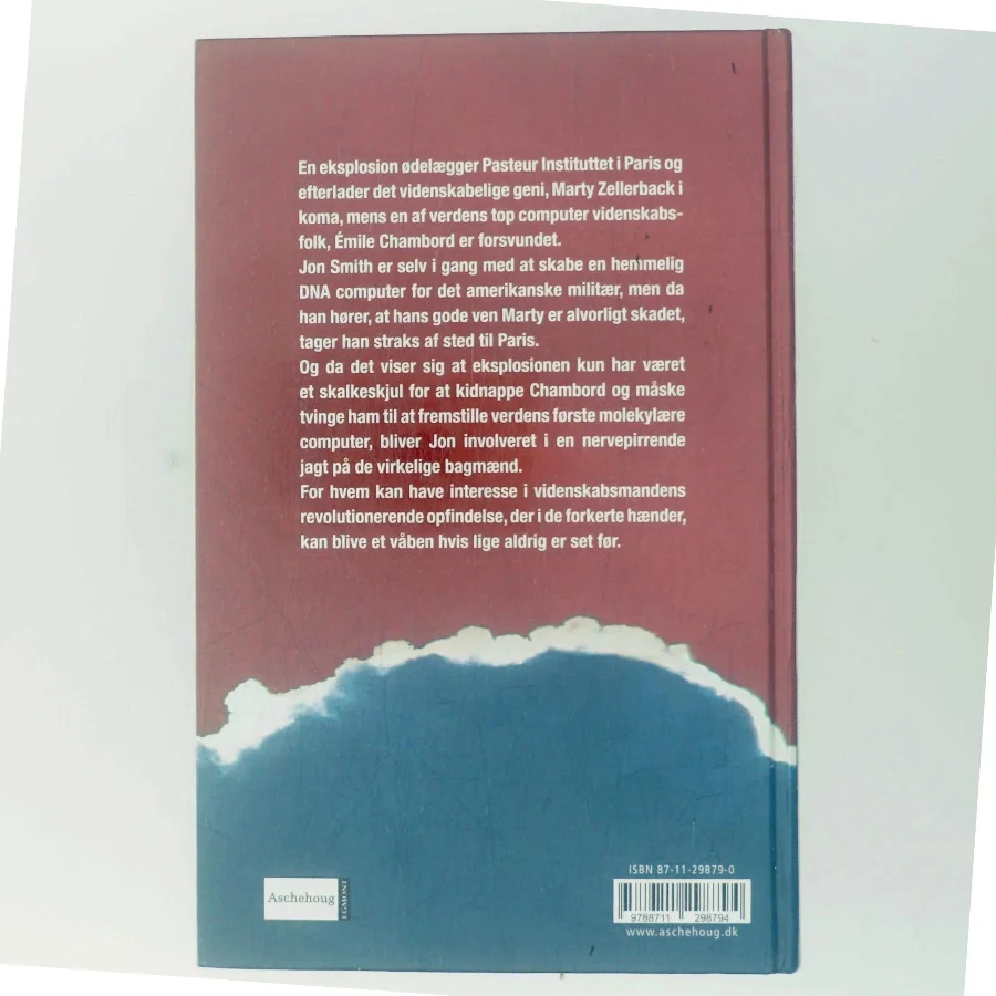 Attentat i Paris (Bog)