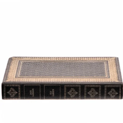 Ukendt Titel af Jack London (Bog)