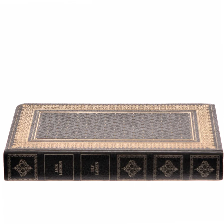 Ukendt Titel af Jack London (Bog)