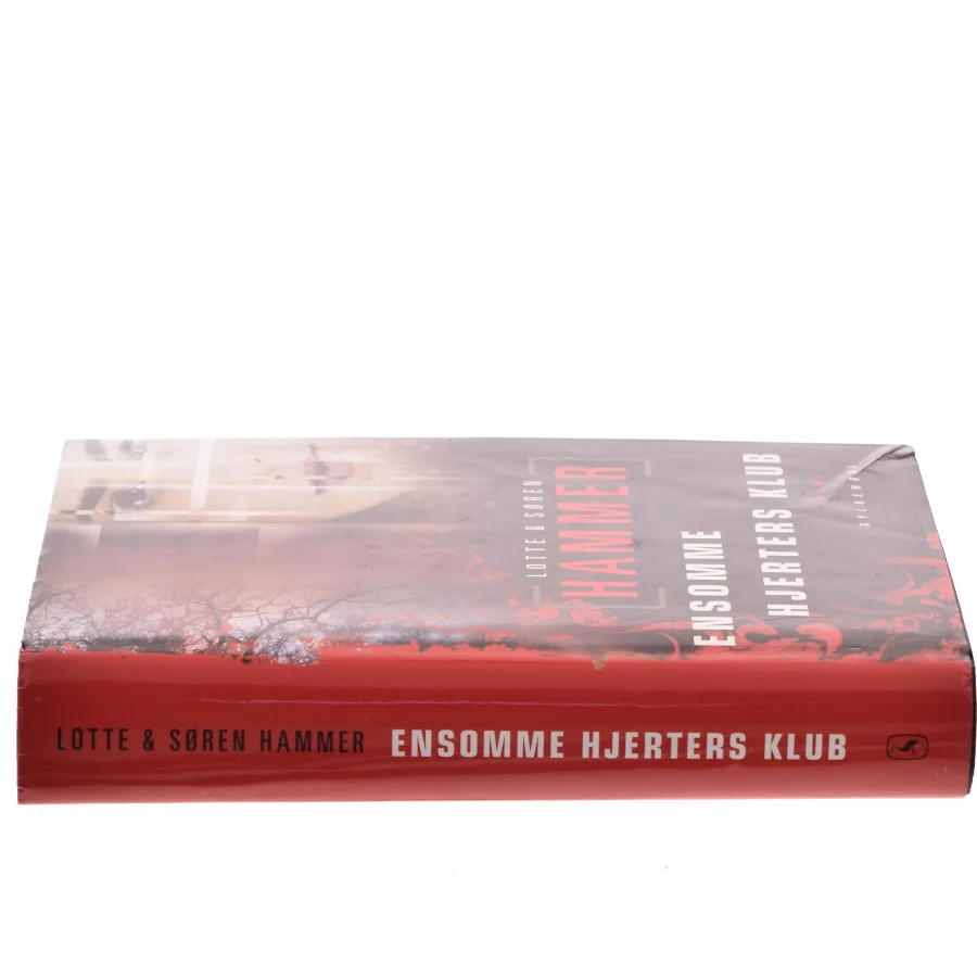 Ensomme hjerters klub (Bog)