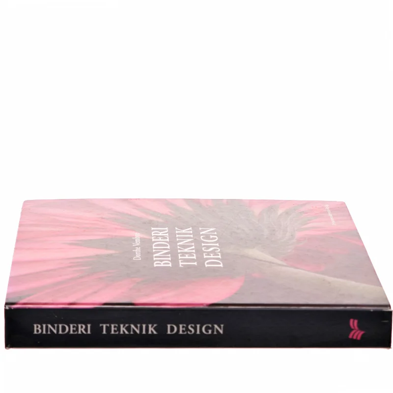 Binderi, teknik, design af Dorthe Vembye (Bog)