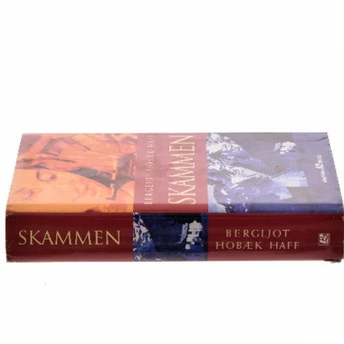 Skammen af Bergljot Hobæk Haff (Bog)