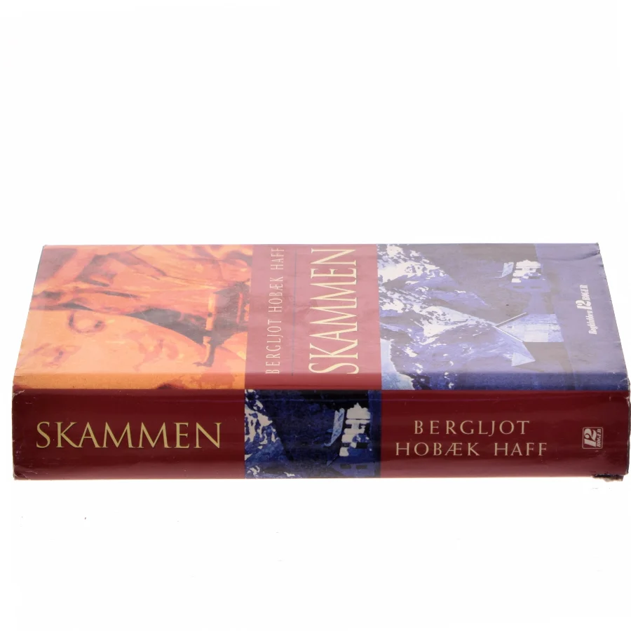 Skammen af Bergljot Hobæk Haff (Bog)