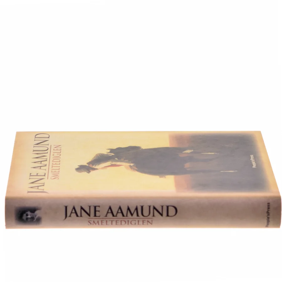Smeltediglen : andet bind i slægtskrøniken om de dansk-argentinske indvandrere : roman af Jane Aamund (Bog)