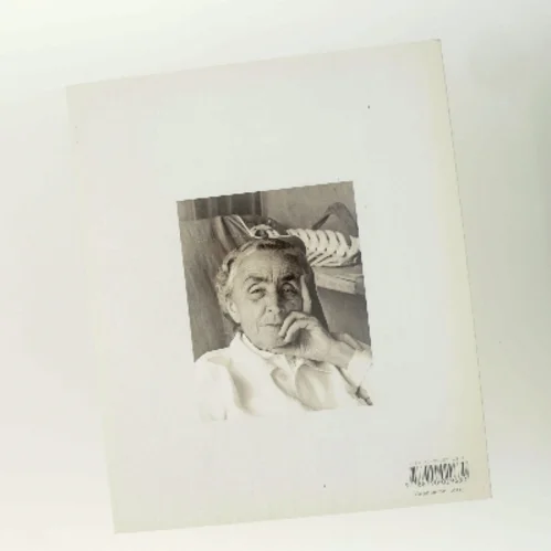 Georgia O'Keeffe af Louisiana Revy (Bog)