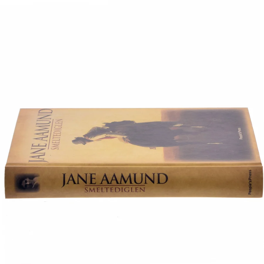 Smeltediglen : andet bind i slægtskrøniken om de dansk-argentinske indvandrere : roman af Jane Aamund (Bog)