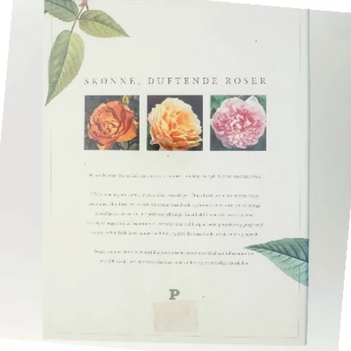 Gamle Roser af Hugo Lykke (Bog)