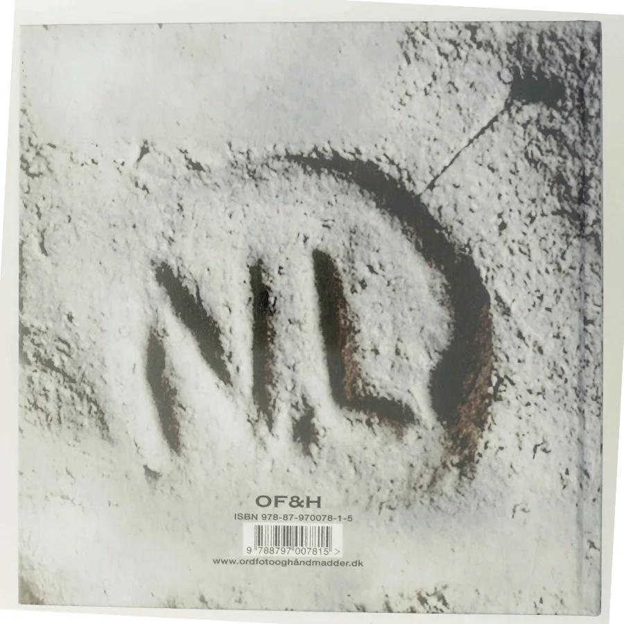 Gnomer & konkrete former af Niels Larsen (Bog)