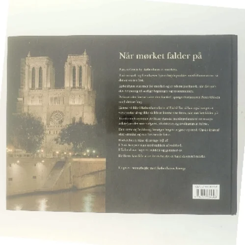 Lys eller ej : København og Paris, når mørket falder på (Bog)