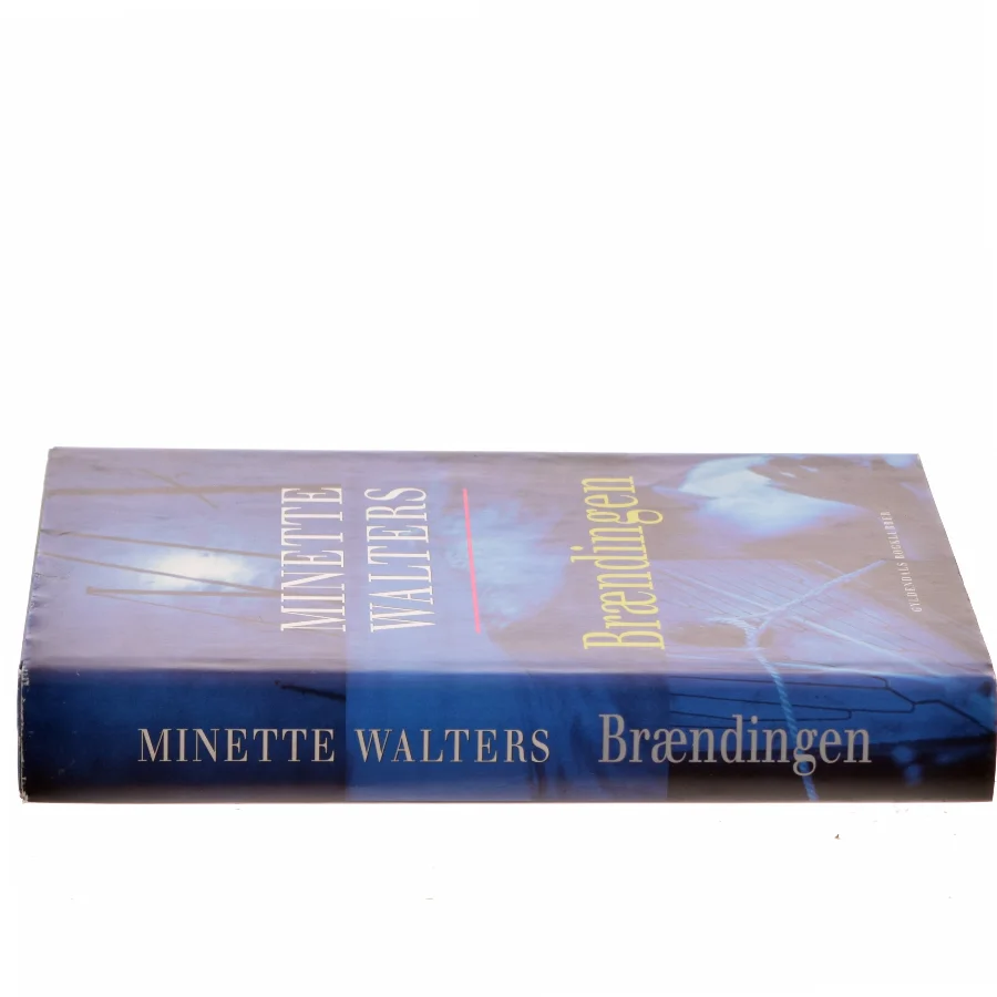 Brændingen : kriminalroman af Minette Walters (Bog)