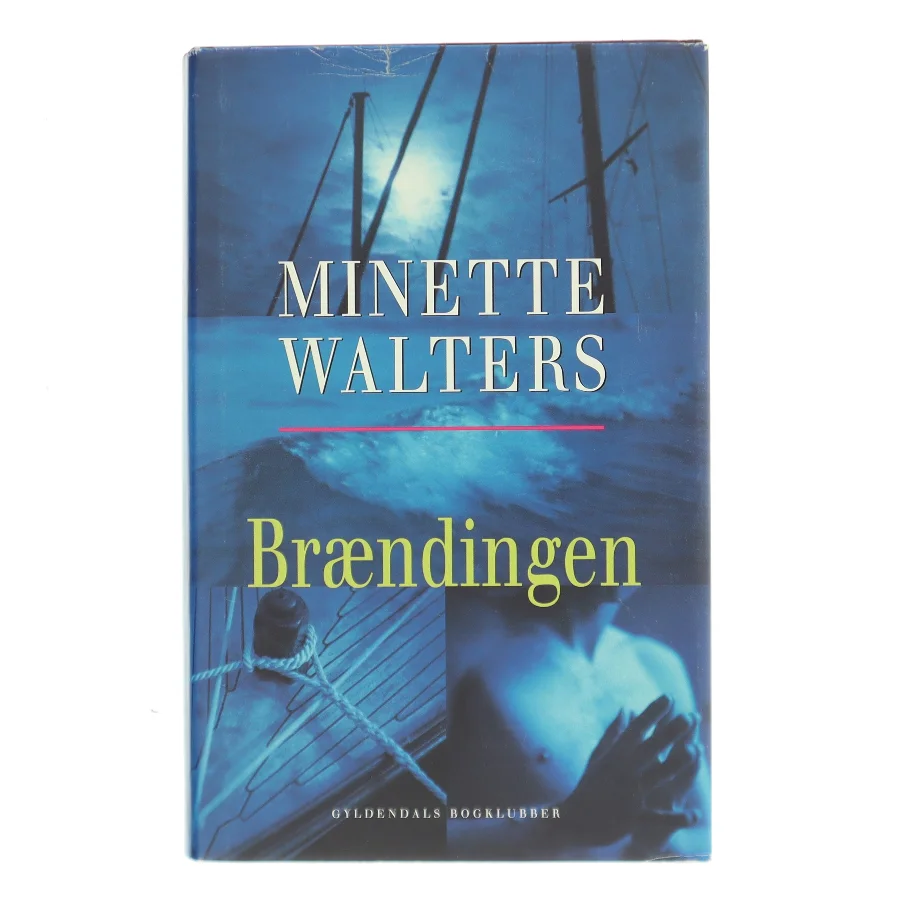 Brændingen : kriminalroman af Minette Walters (Bog)
