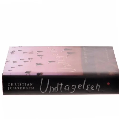 Undtagelsen : roman af Christian Jungersen (Bog)