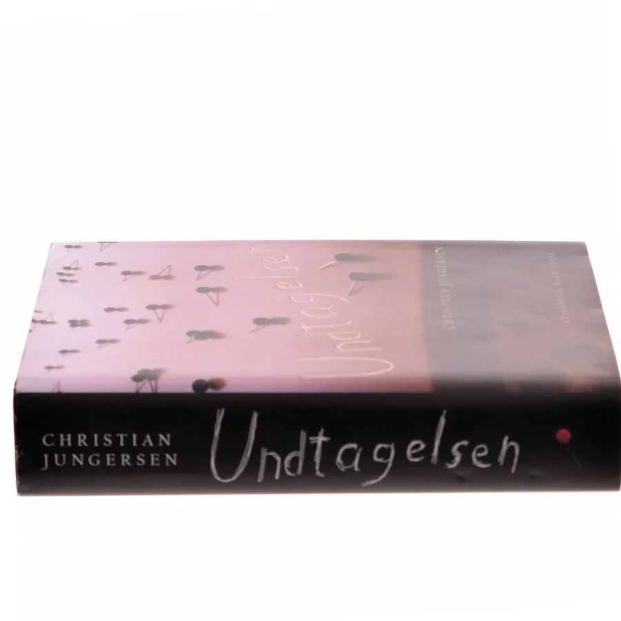Undtagelsen : roman af Christian Jungersen (Bog)