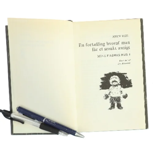 En fortælling hvoraf man får et smukt ansigt af Jørn Riel (Bog)