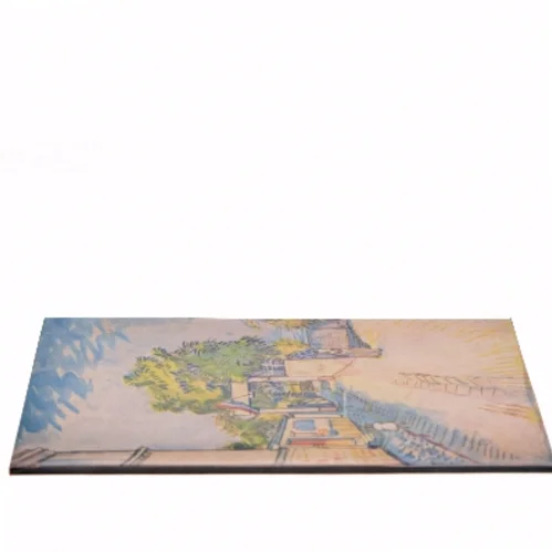 Vincent van Gogh af Louisiana Museum (Bog)