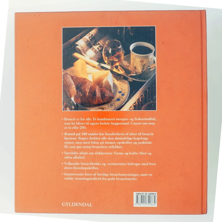 Brunch på 100 måder af Lynn Andersen (f. 1945) (Bog)