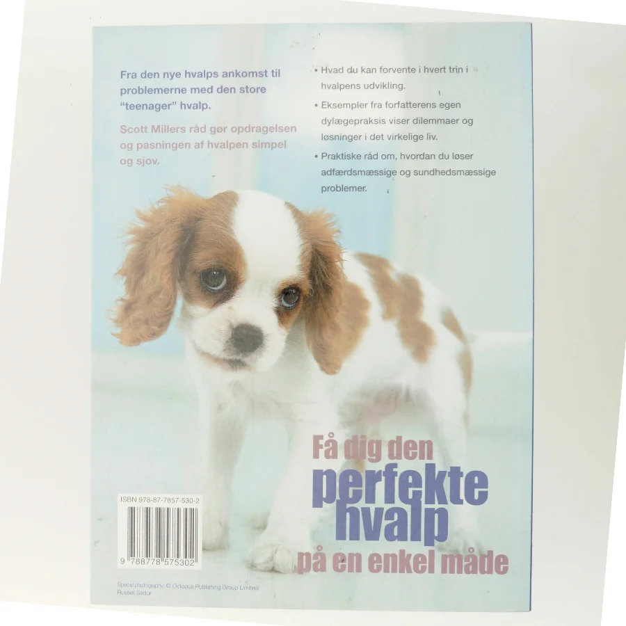 Hvalpebogen : hvad du skal gøre og hvornår af Scott Miller (Bog)