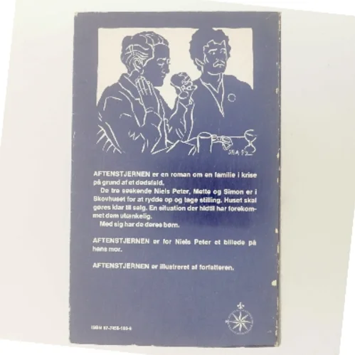 Aftenstjernen af Dea Trier Mørch (Bog)