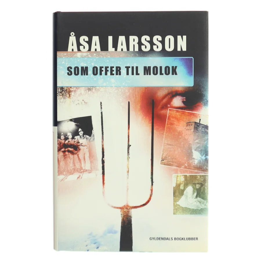 Som offer til Molok af Åsa Larsson (Bog)