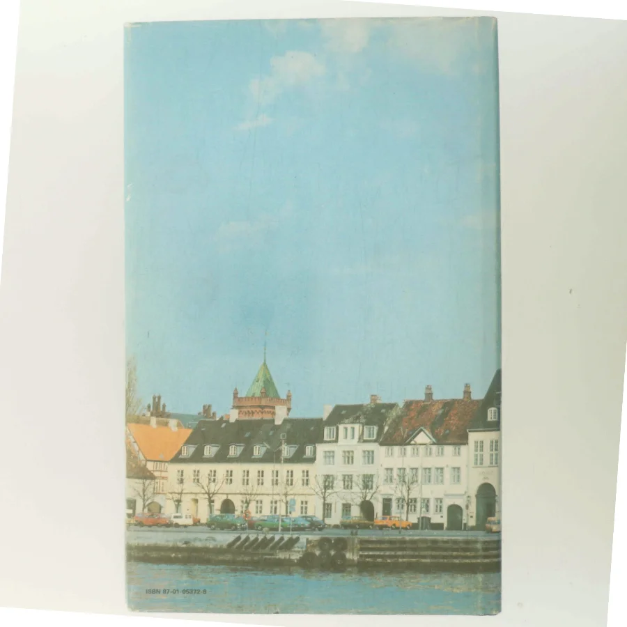 233 danske borgerhuse af Allan Tønnesen (Bog)
