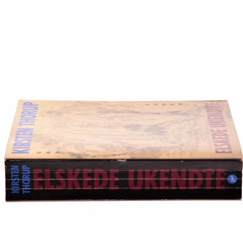 Elskede ukendte af Kirsten Thorup (Bog)