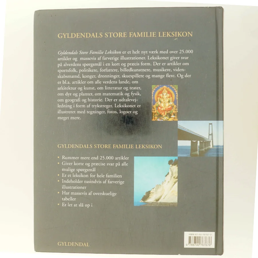Gyldendals store familieleksikon (Bog)