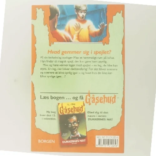 Det magiske spejl af R. L. Stine (Bog)